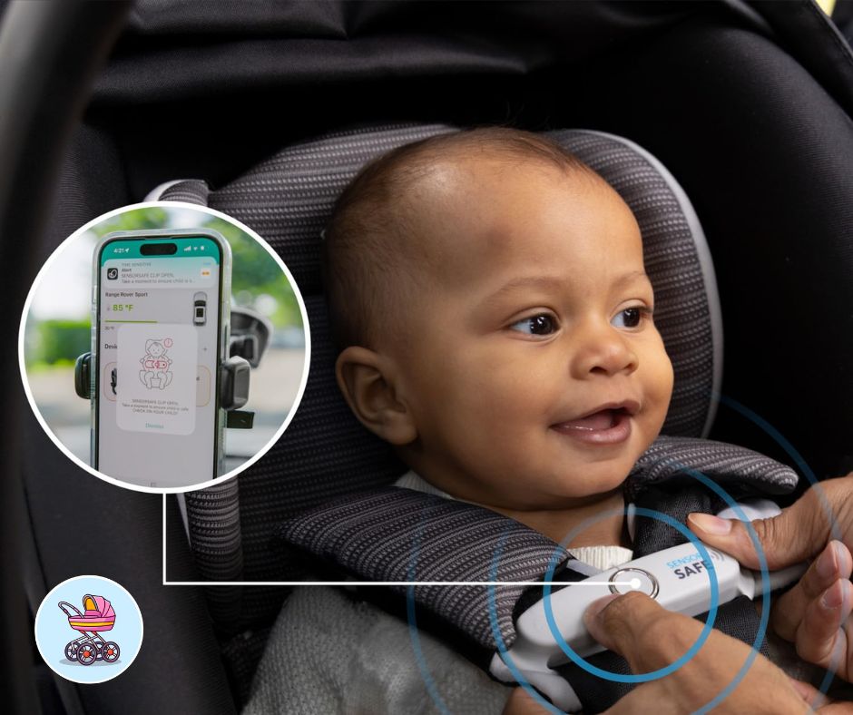 safety-features-and-crash-protection